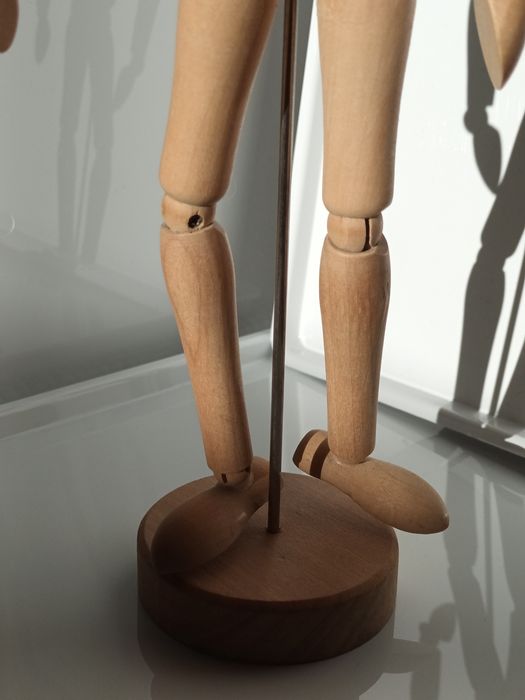 Modelo Anatómico de madeira