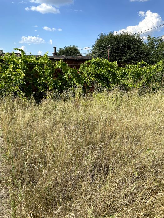 Дача, земельна ділянка, Володимирівське, Запорізька область