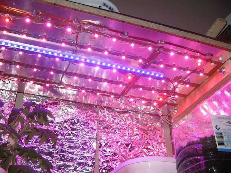Фито Светодиод 3W для растений  + подложка УСКИ LED 3W 400-840nm