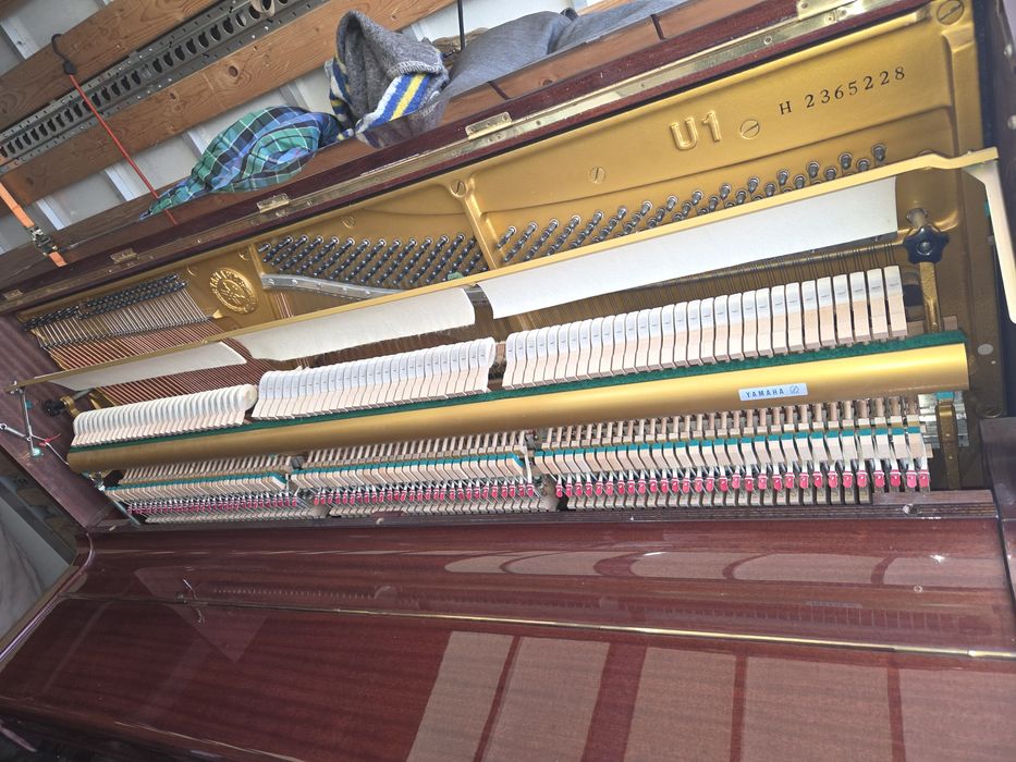 Pianino Yamaha U1, E,  mahoń, wysokiej połysk.  Piękna.