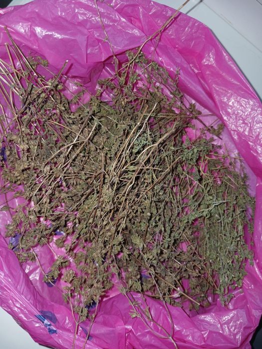 Сушений естрагон (тархун)