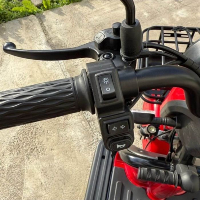 СУПЕР ЦІНА ‼️ Триколісний електроскутер EVOBIKE Luna PRO (1200W 60V 20Ah)