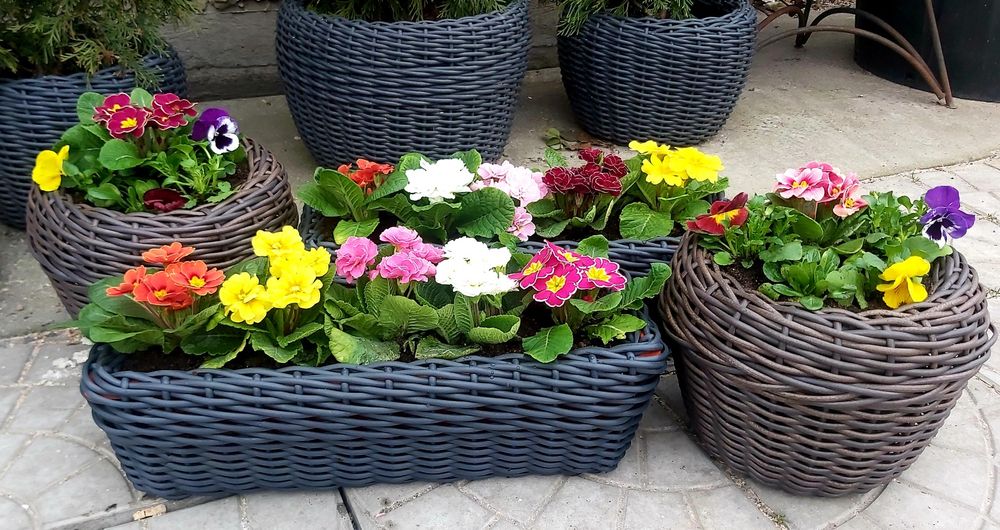 Кашпо з ротангу  ручної роботи