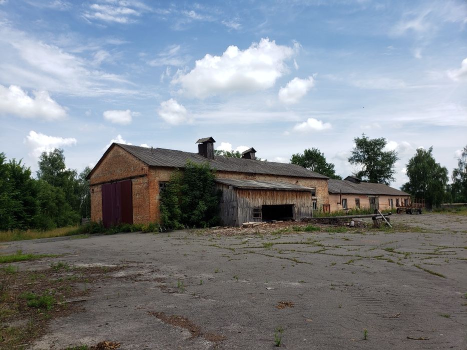 Продаж  виробниче приміщення  с. Серби