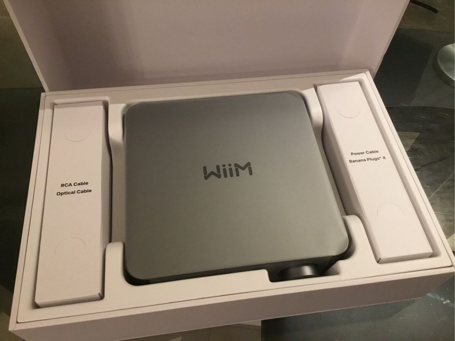 Amplificador Wiim Vibelink Amp