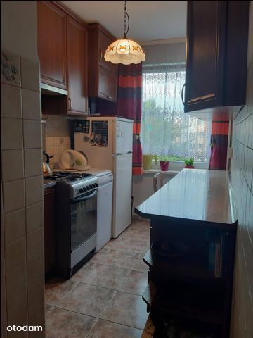 Mieszkanie, Sosnowiec