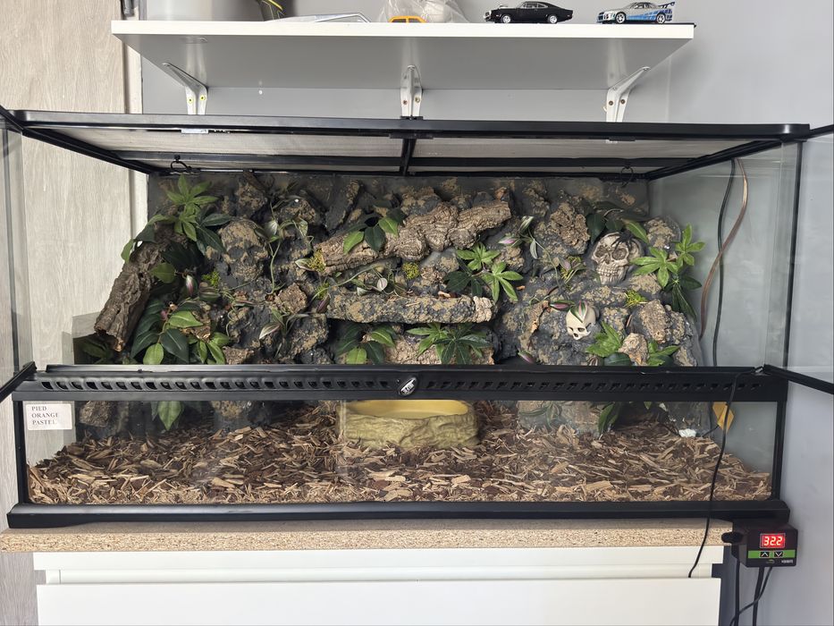 Terrarium exoterra oswietlenie scianka dekoracje