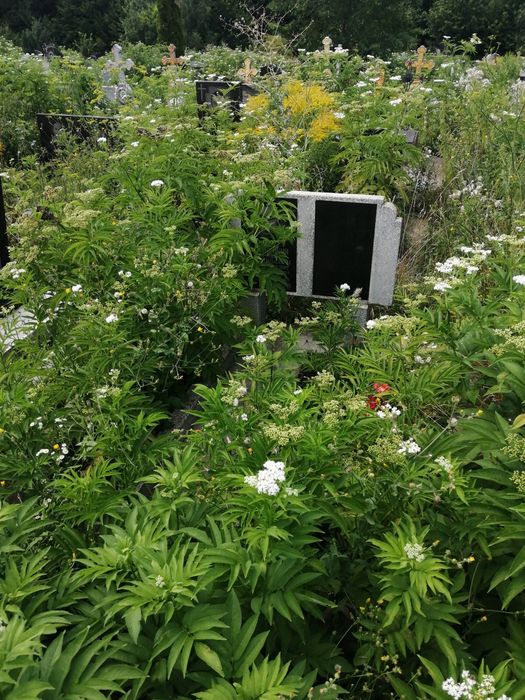 Прибирання могил