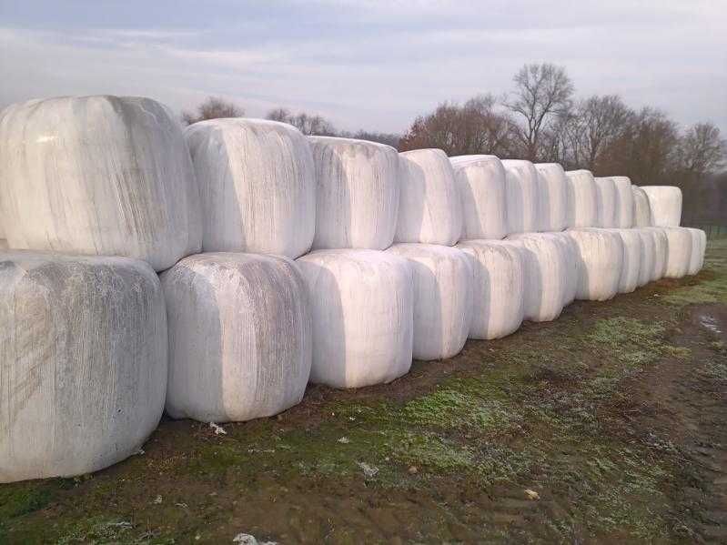 Baloty z sianokiszonki