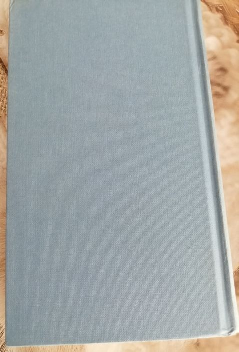 Livro de Mário Vargas Llosa,