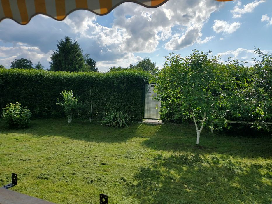 Działka ROD z domkiem - Widok 5