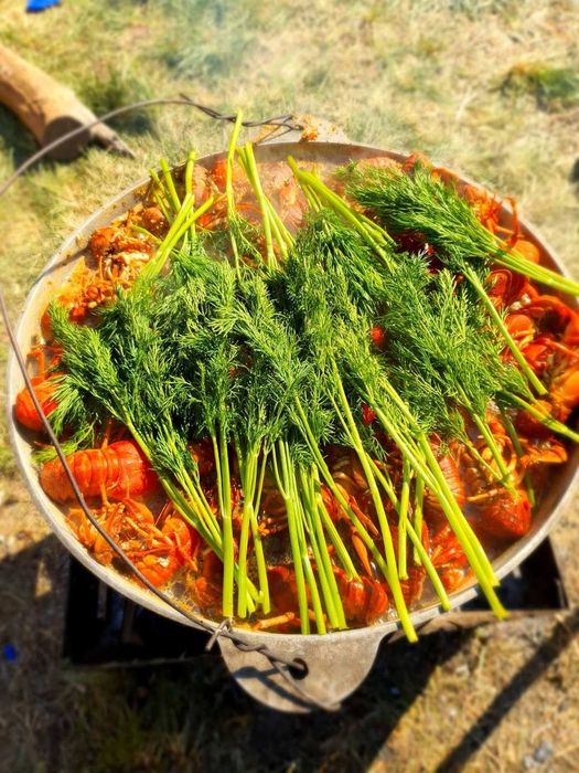 Раки живі тільки гурт(цікаво)