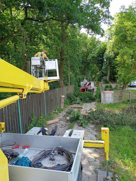 Wycinka drzew,rębak,mulczowanie, podnośnik,czyszczenie działek