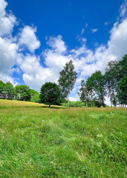 Działki budowlane rekreacyjne Nowa Bystrzyca Spalona 0,56ha