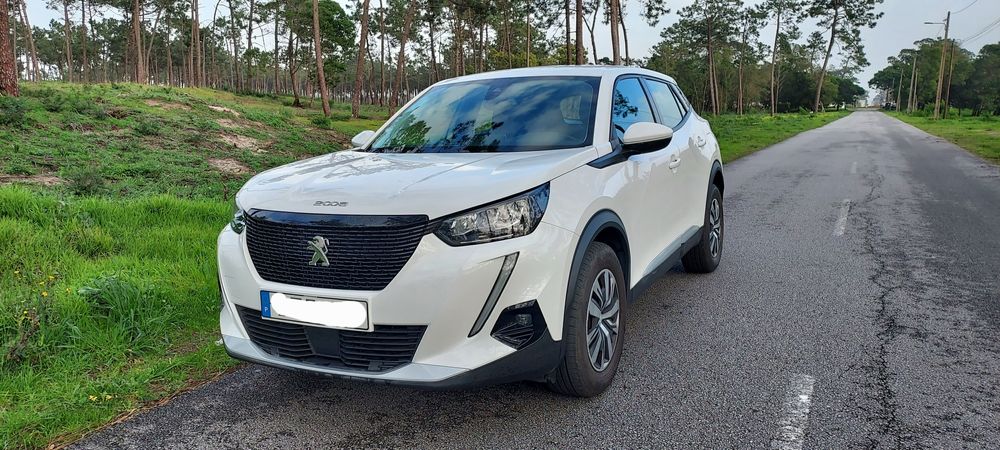 Peugeot 2008 1.5 blue Hdi