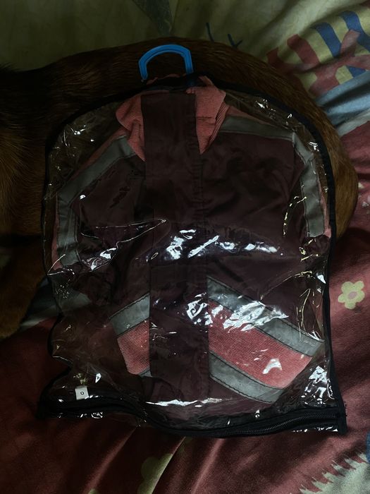 Костюм для собак