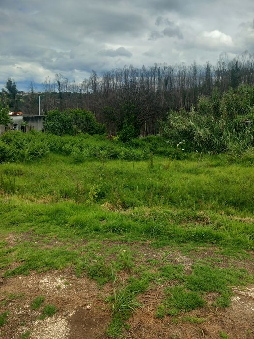 Terreno em Angeja
