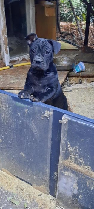 Супердруг за суперціною