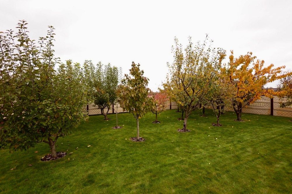 Будинок смт.Бабинці, 200м2+12 соток. Басейн, спорт.майданчик. Без%