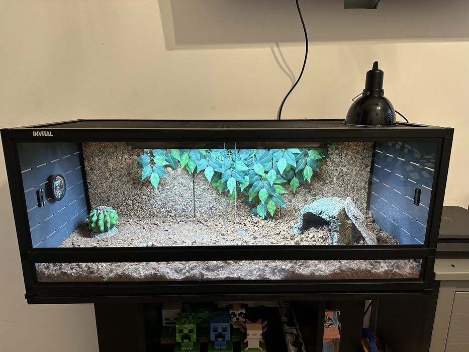 Terarium + szafka 40 cm x 100 cm