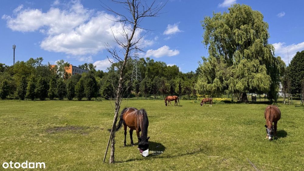 Gotowe do wejścia | Parter | 2 pokoje | Balkon