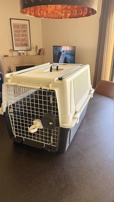 Caixa para transporte de pet