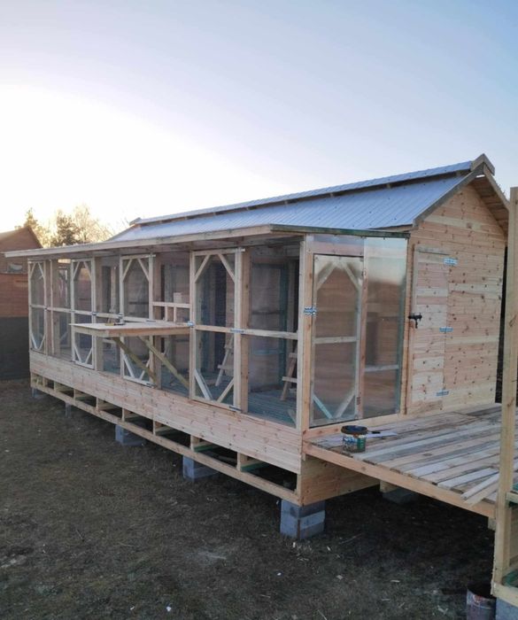 Gołębik na rusztach