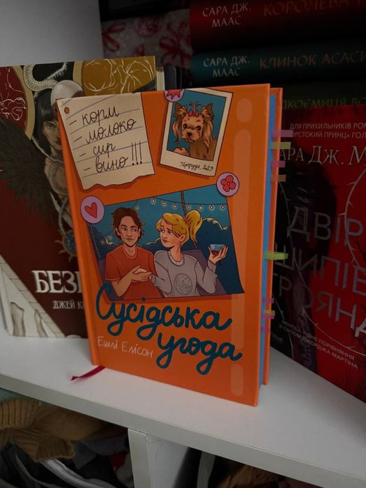 Книга Сусідстка угода