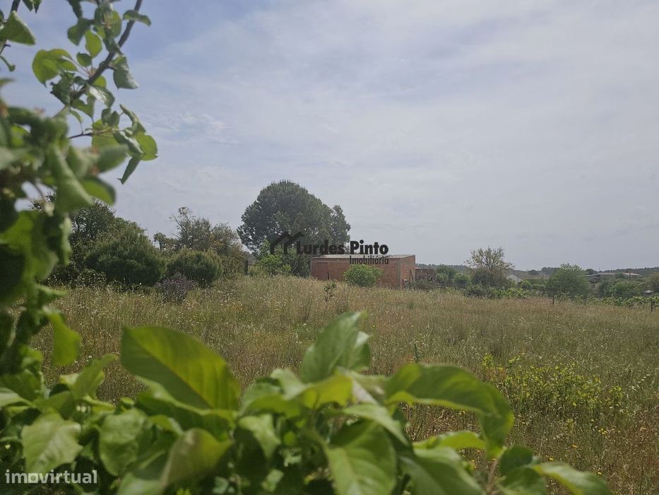 Quinta perto de Castelo Branco