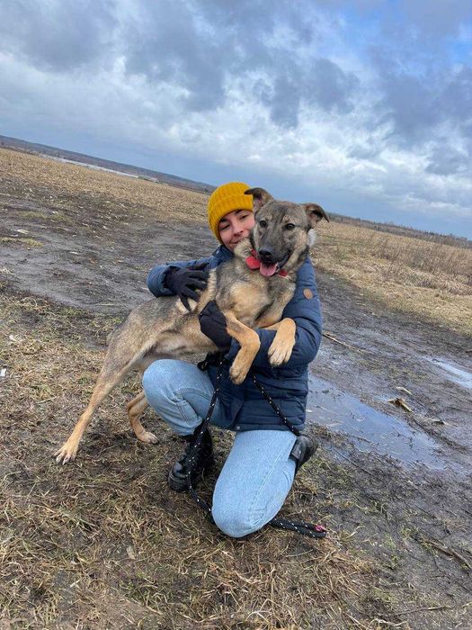 Муха дуже чекає на свою турботливу і люблячу сім'ю..