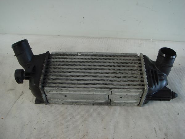 Radiador do intercooler CITROËN C5 II Break (RE_)