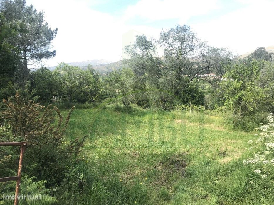 Terreno para venda
