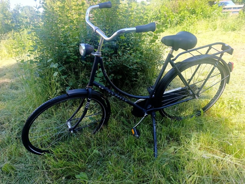 ,,Gazelle " oryginalna damka holenderska