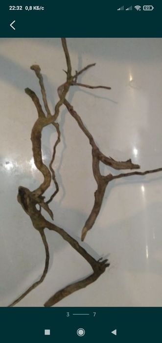 Коряги в аквариум, терариум