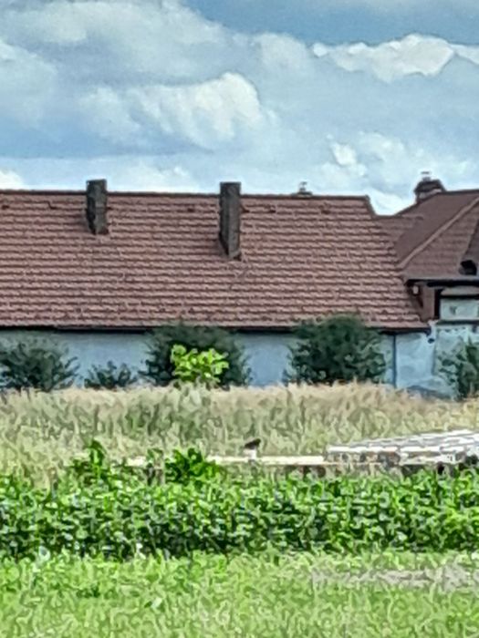 Продам земельну ділянку в с. Конопниця