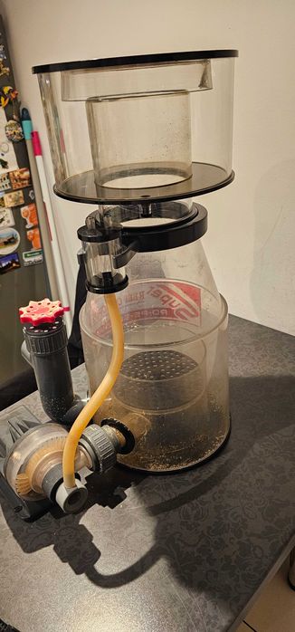 Odpieniacz białek Reef Octopus RO-PS-5000Int do 2400L