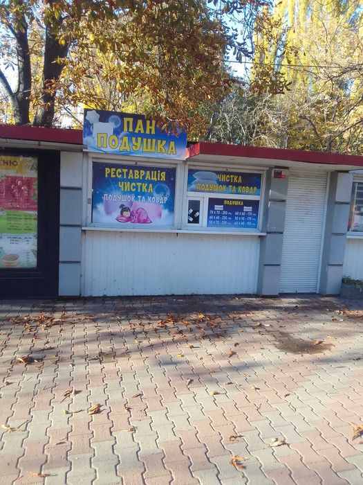 Чистка, реставрація подушок Бровари