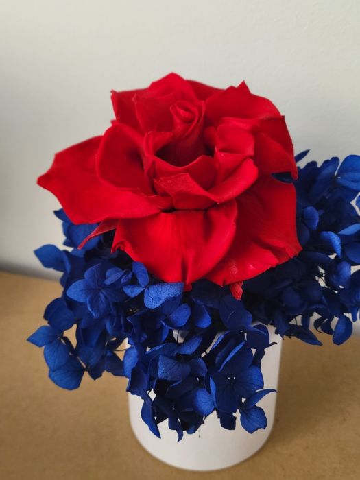 Стабілізовані троянди, квіти.Нев'янучі троянди. Подарунок.