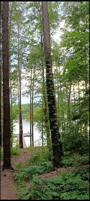 Domek letniskowy nad jeziorm Mazury Makowo Iława las Jeziorak