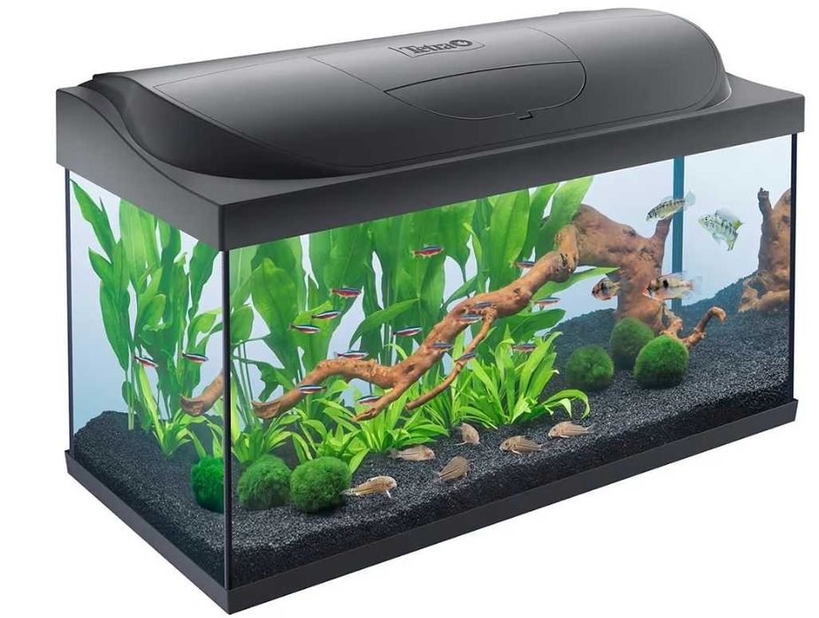 Vendo aquário com decoração