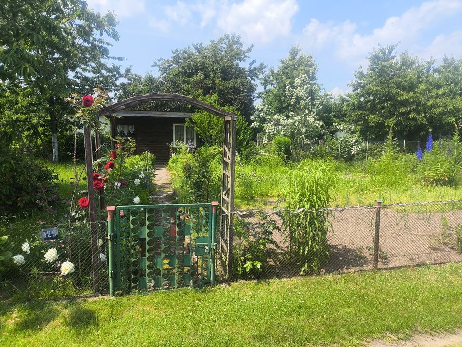 Działka ROD Niekłonice koło Koszalina rezerwacja - Widok 3