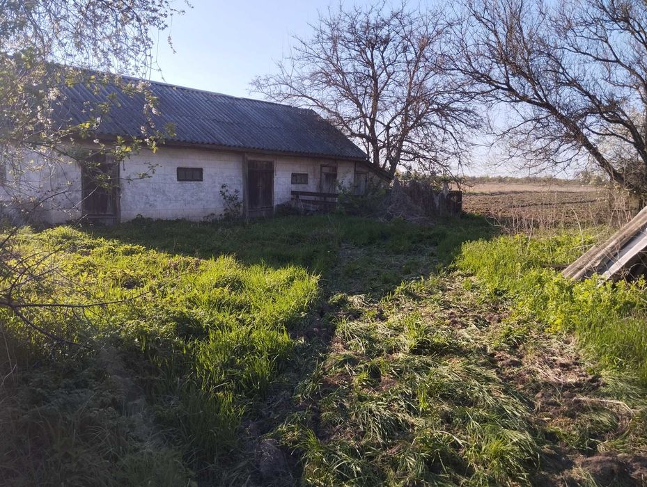 Будинок в с.Жуківка, Чернігівський район