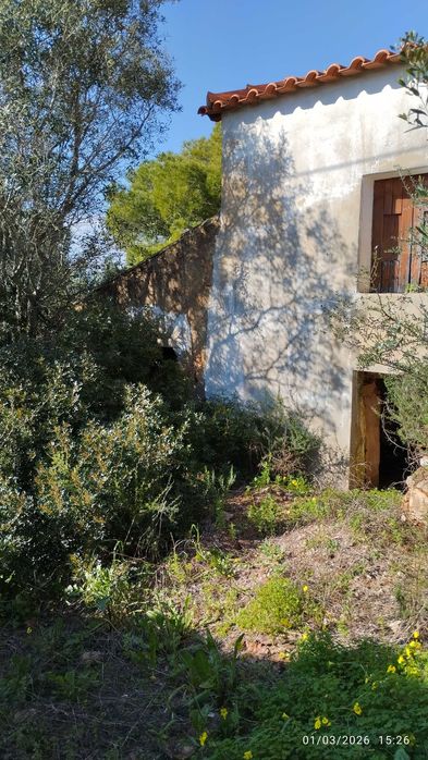 Terreno com casa para recuperar a poucos minutos da cidade de Silves
