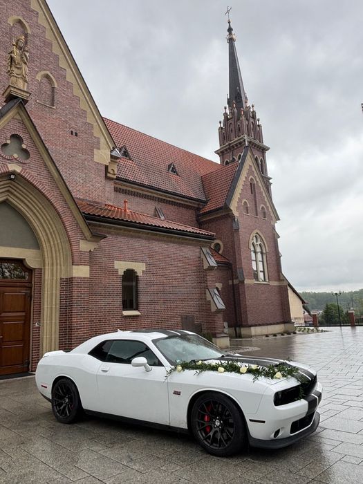 Samochód do ślubu/Auto na wynajem / Dodge Challenger