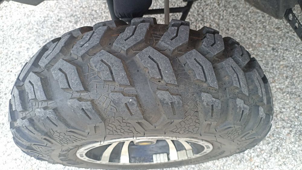 Arctic Cat 650