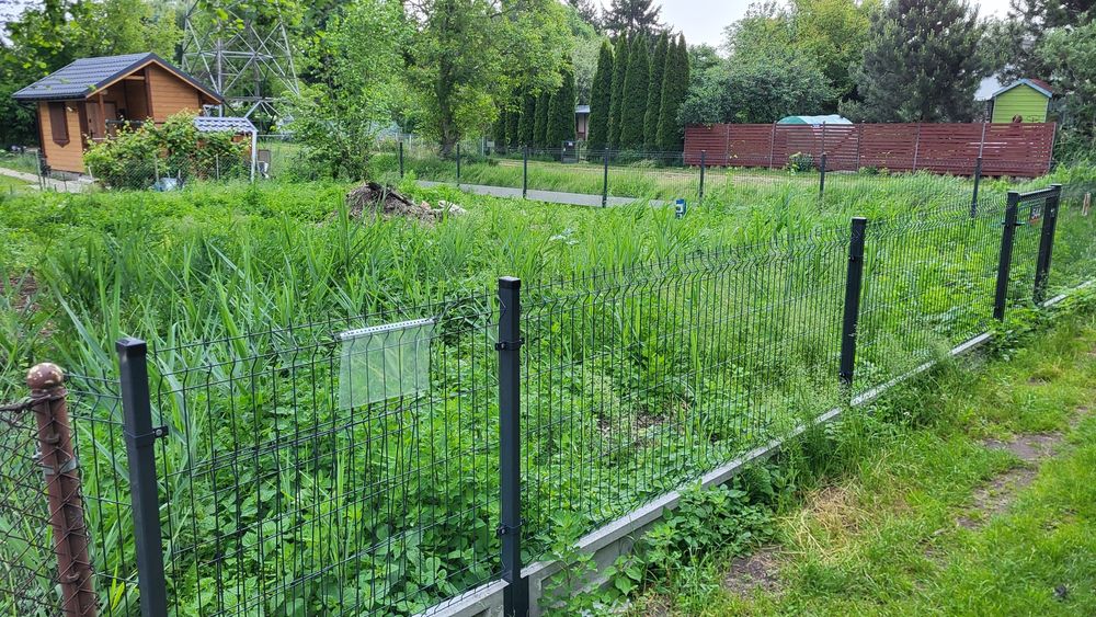 Działka ROD Warszawa Targówek - Widok 3
