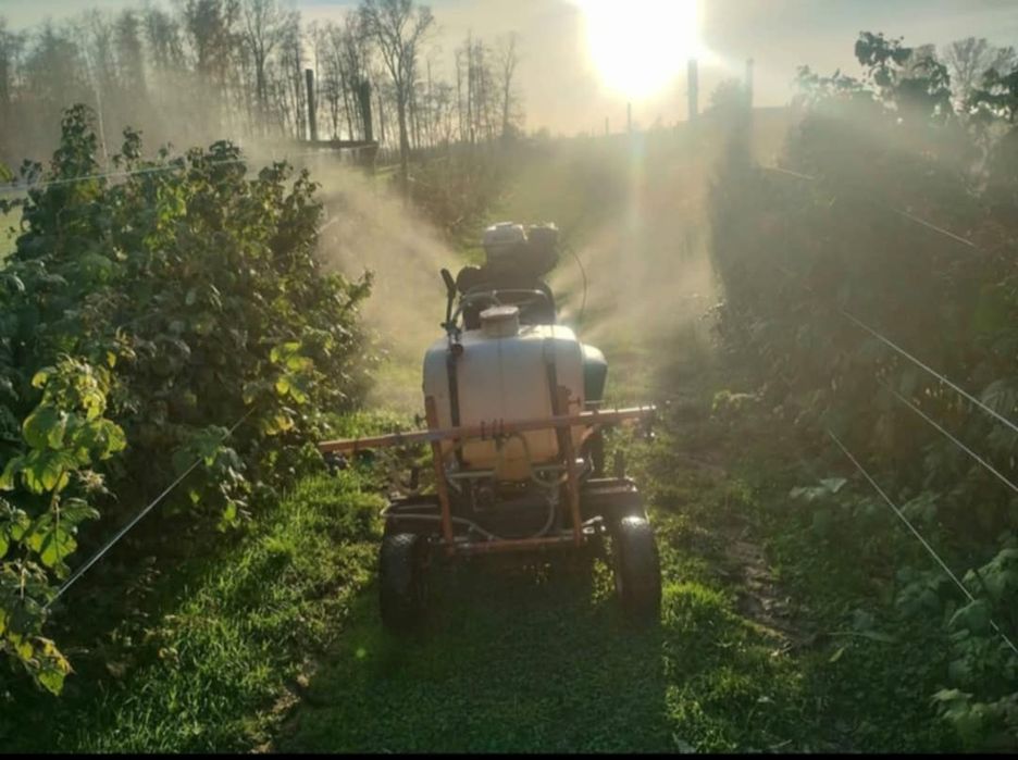 Opryskiwacz nadmuchowy tunelowy samojezdny