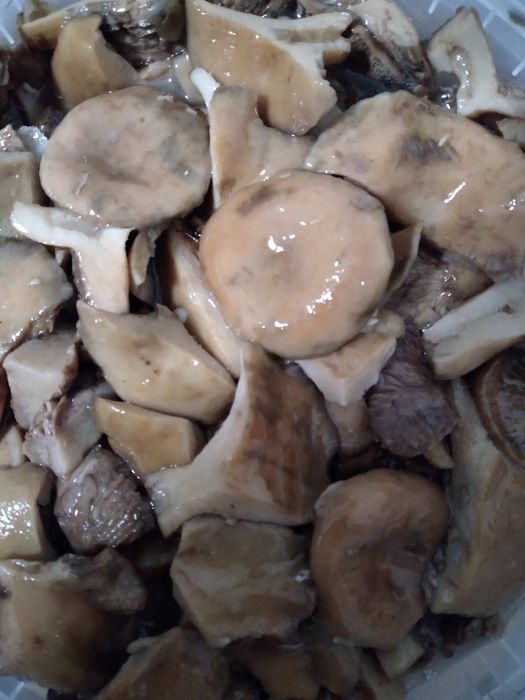 Гриби лісові  квашені,варення чорниці