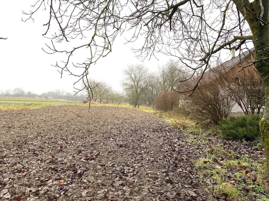 Продаж будинку з великою ділянкою