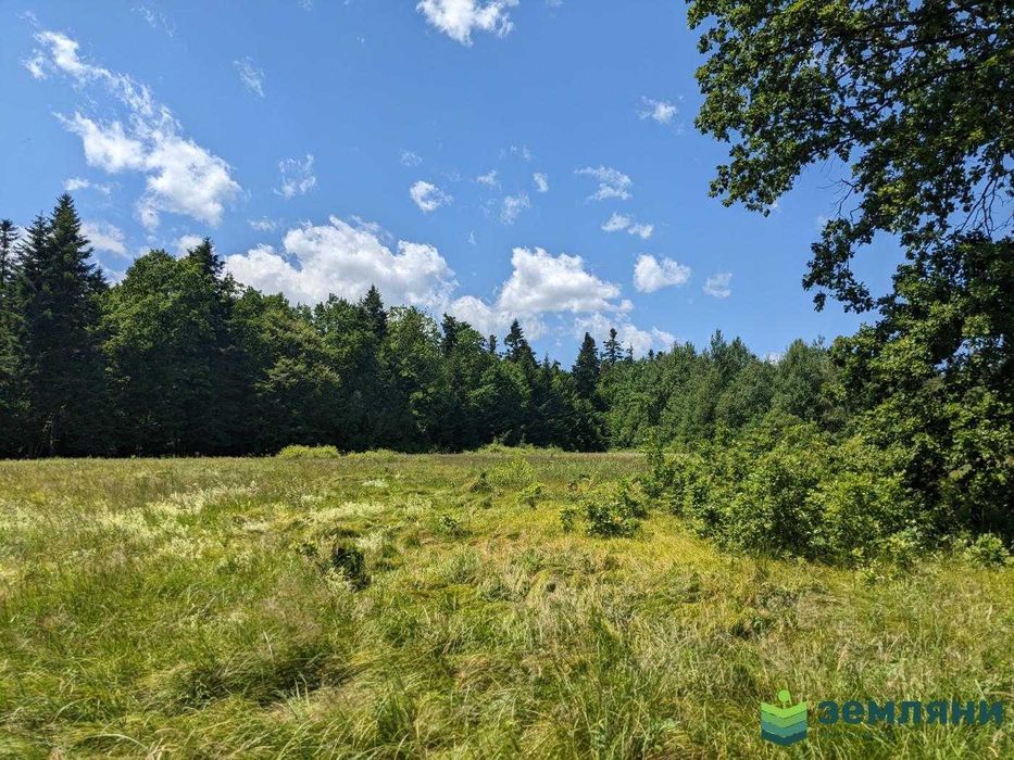 Продаж ділянки із виходом у ліс с. Нова Гута 45.5 сот (8)